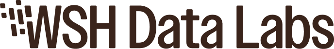 WSH Data Labs logo